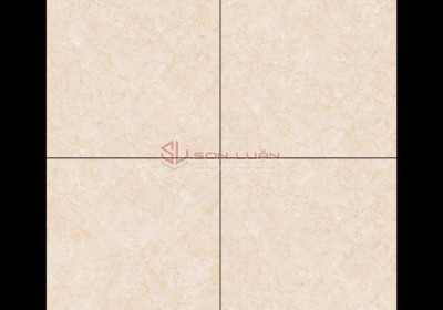 Gạch Ốp Lát APODIO 66282010